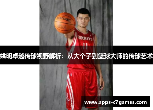 姚明卓越传球视野解析：从大个子到篮球大师的传球艺术