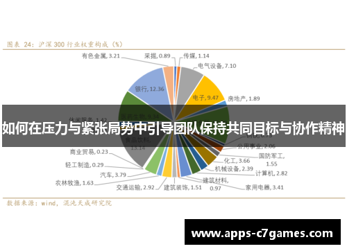 如何在压力与紧张局势中引导团队保持共同目标与协作精神