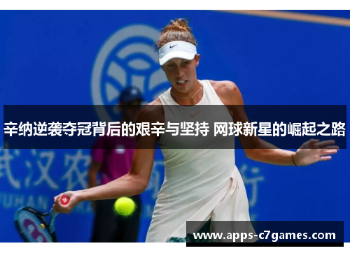 辛纳逆袭夺冠背后的艰辛与坚持 网球新星的崛起之路 辛纳逆袭夺冠背后的艰辛与坚持 网球新星的崛起之路