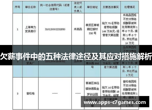欠薪事件中的五种法律途径及其应对措施解析 欠薪事件中的五种法律途径及其应对措施解析