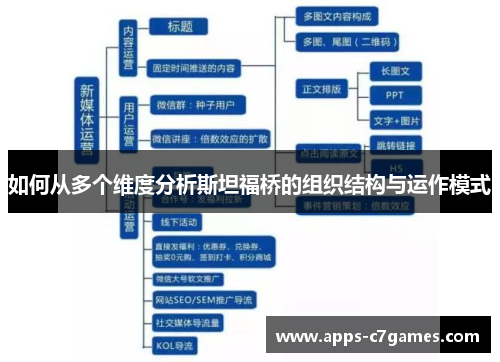 如何从多个维度分析斯坦福桥的组织结构与运作模式