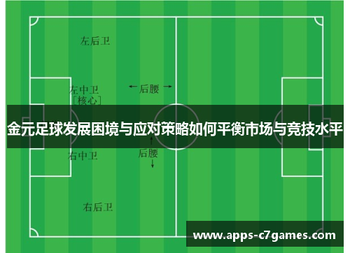 金元足球发展困境与应对策略如何平衡市场与竞技水平