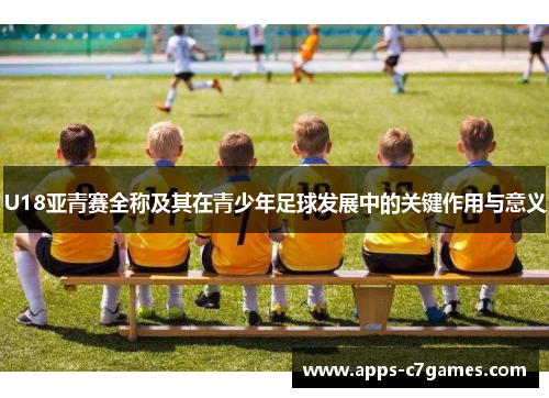 U18亚青赛全称及其在青少年足球发展中的关键作用与意义